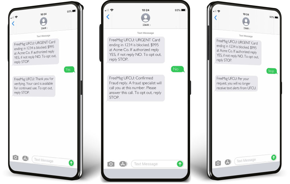 Mock-up of example fraud prevention texts.